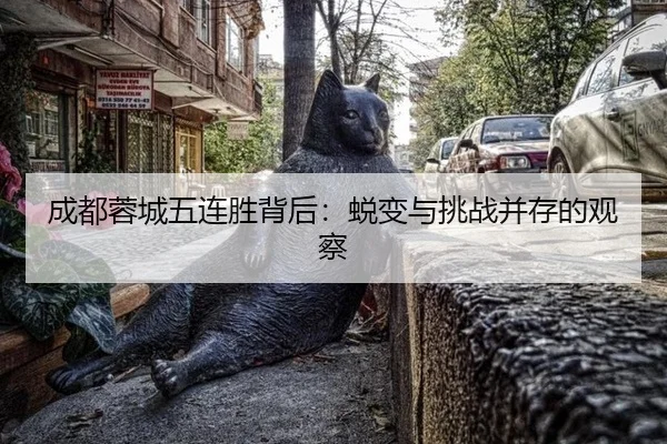 成都蓉城五连胜背后：蜕变与挑战并存的观察